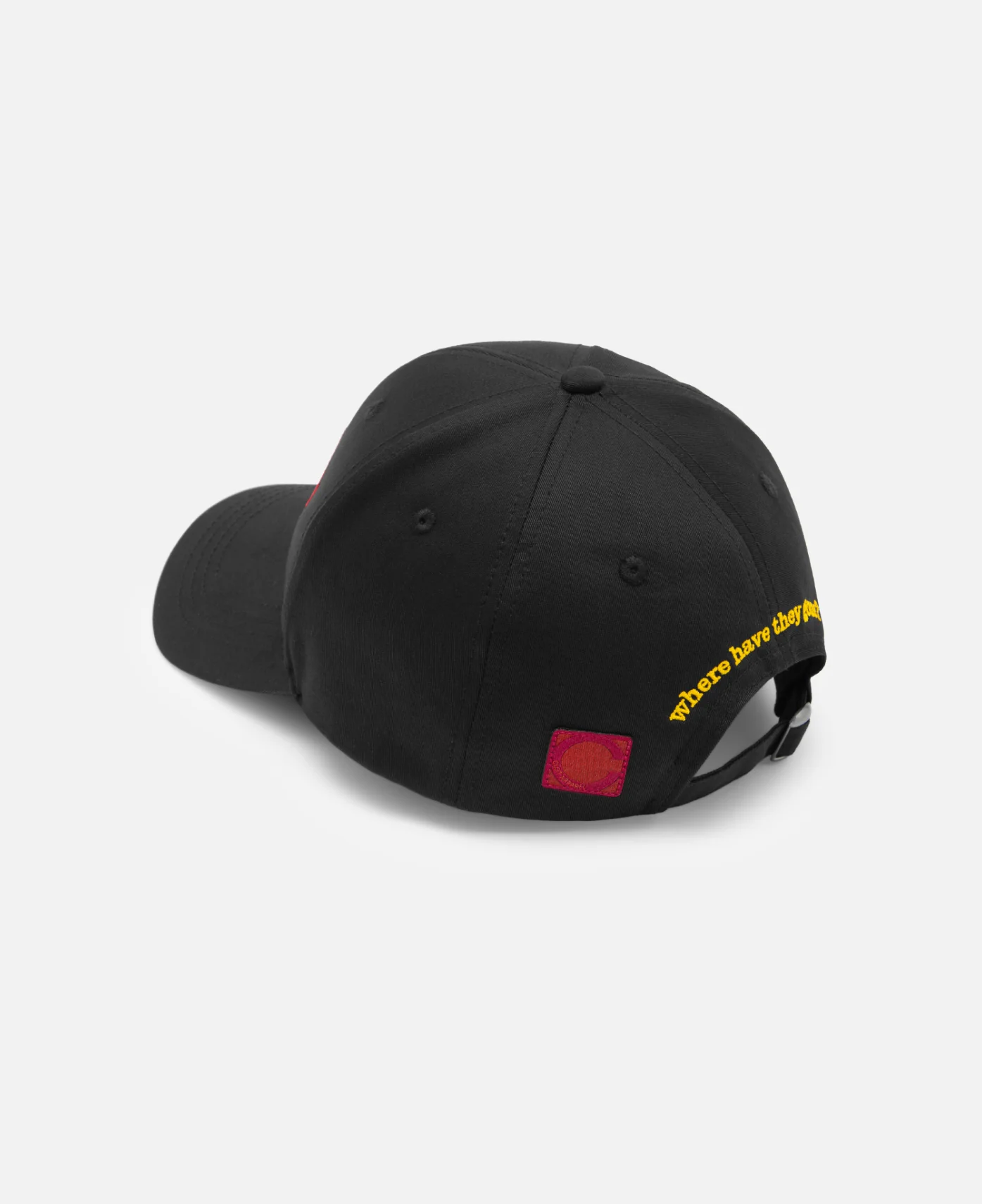 Facts Cap (Black) - Image 3