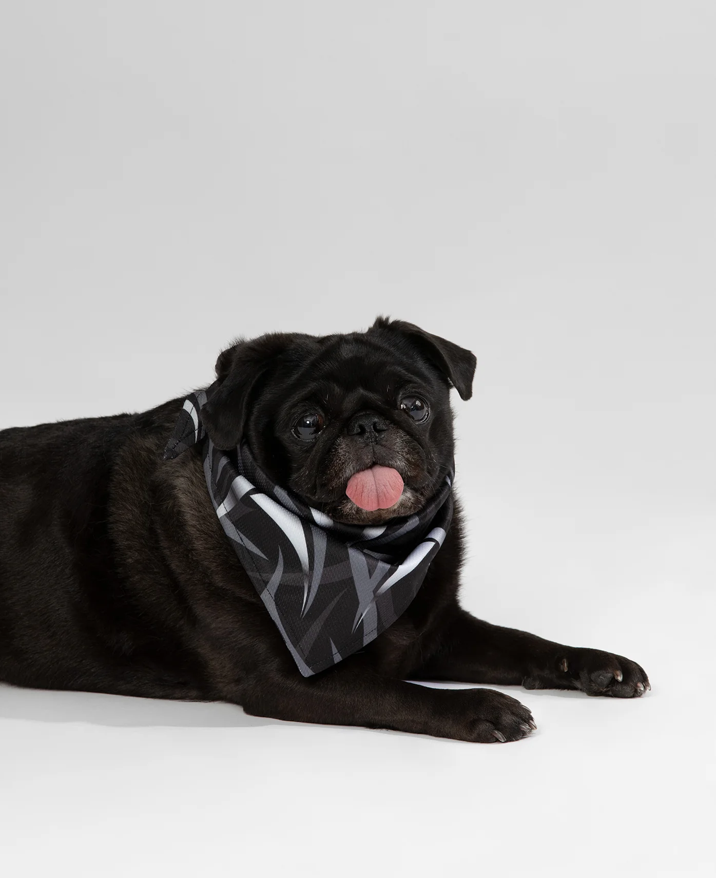 Pet Triangle Scarf (Black) - Image 2