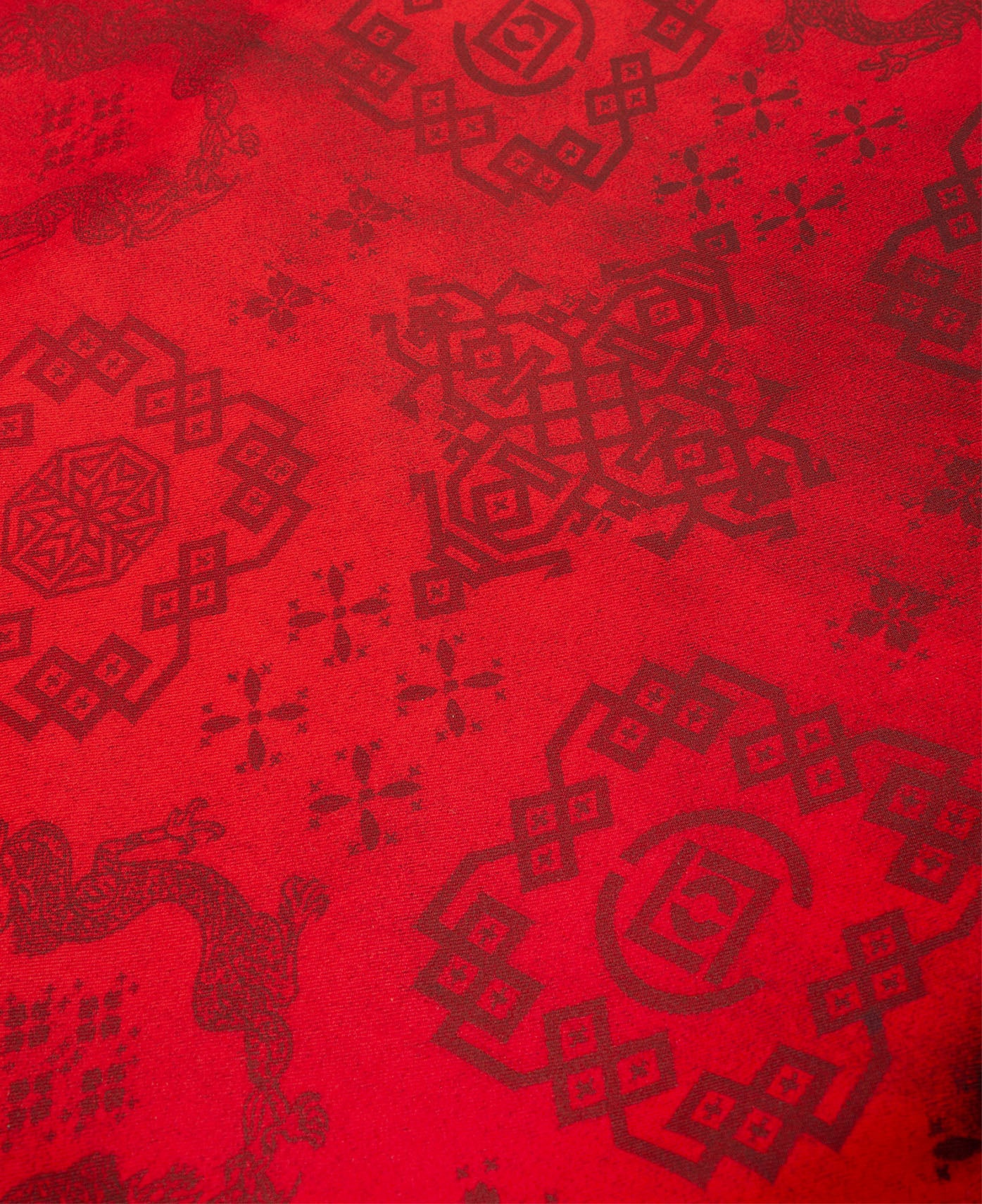 Printed Silk Shirt (Red) - Image 7