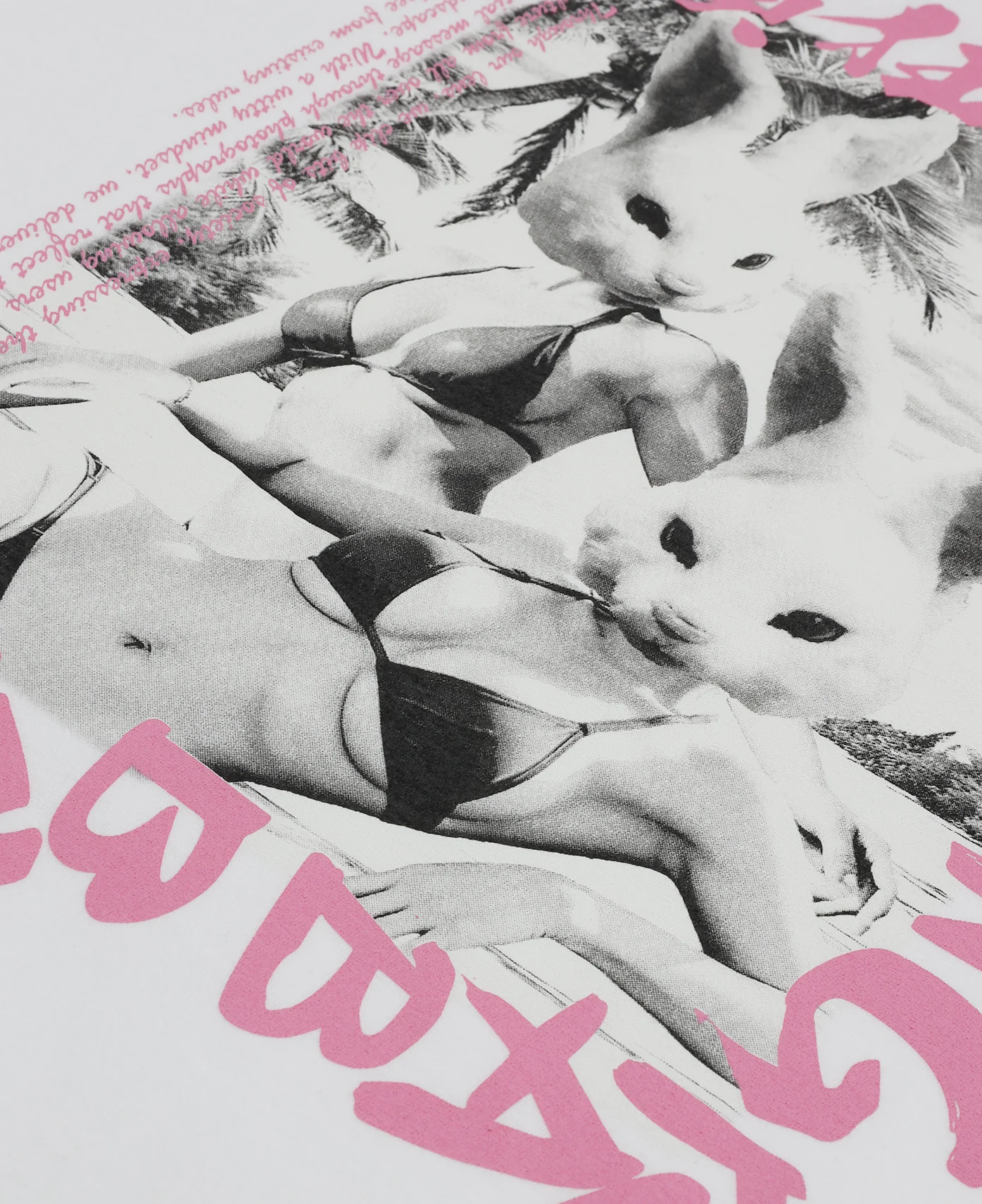 We Are Fxxking Rabbits T-Shirt (White) - Image 3