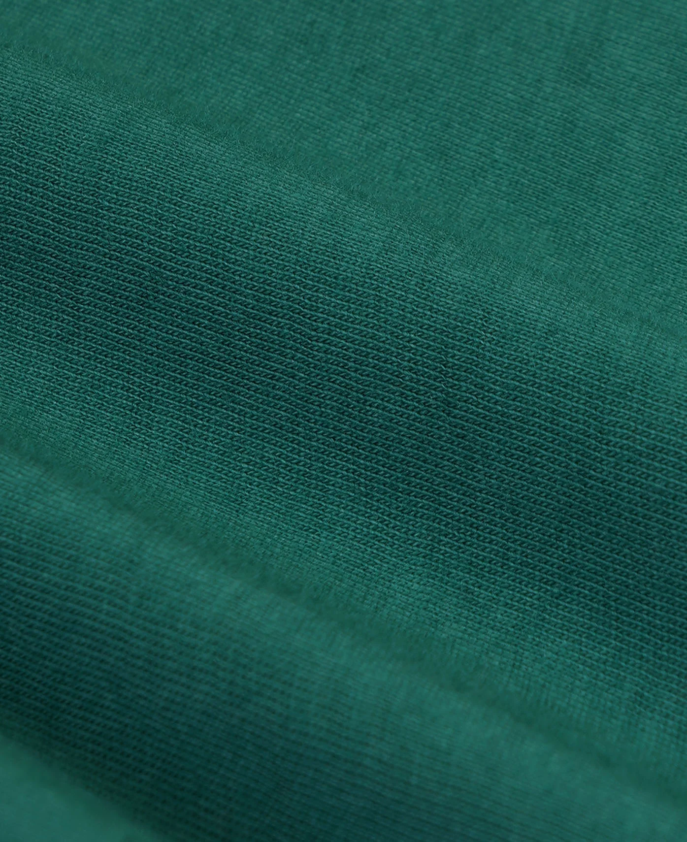 Health Is Wealth Crewneck (Green) - Image 5